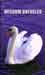 Wisdom Unfurled